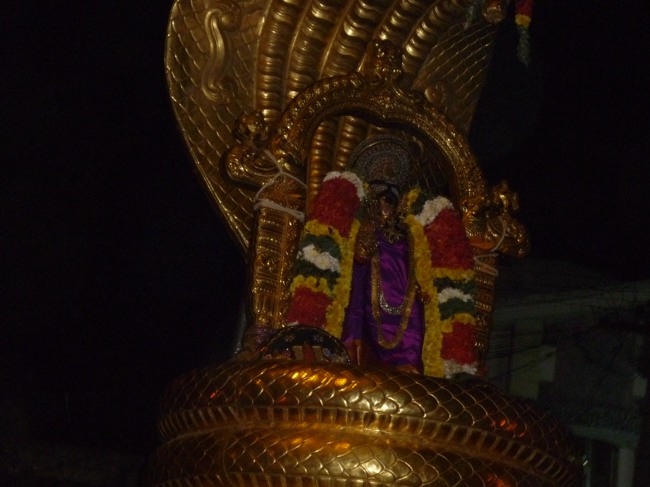Srirangam Bhoopathi Thirunal Sesha Vahanam 2014--21
