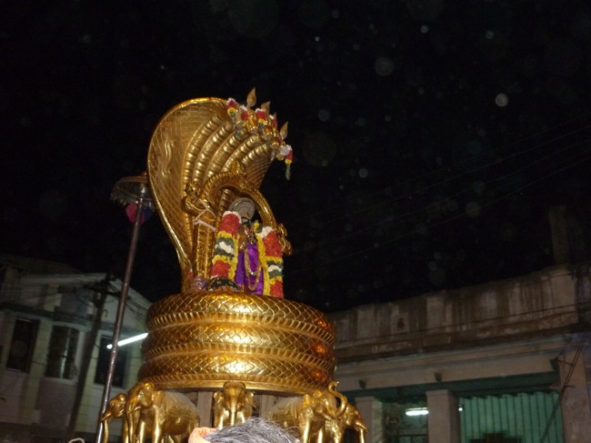 Srirangam Bhoopathi Thirunal Sesha Vahanam 2014--22