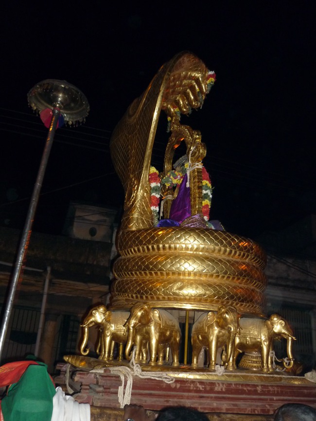 Srirangam Bhoopathi Thirunal Sesha Vahanam 2014--29