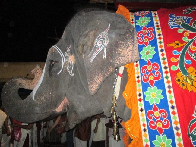 Srirangam Bhoopathi Thirunal nel Alavu 2014 -11