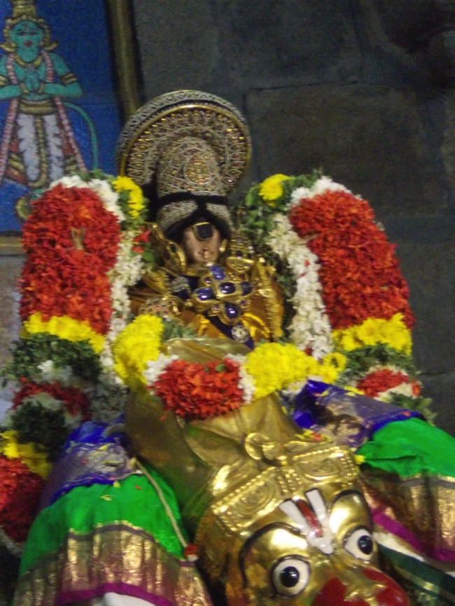 Srirangam Boopathi Thirunal Hanumantha vahanam 2014--000