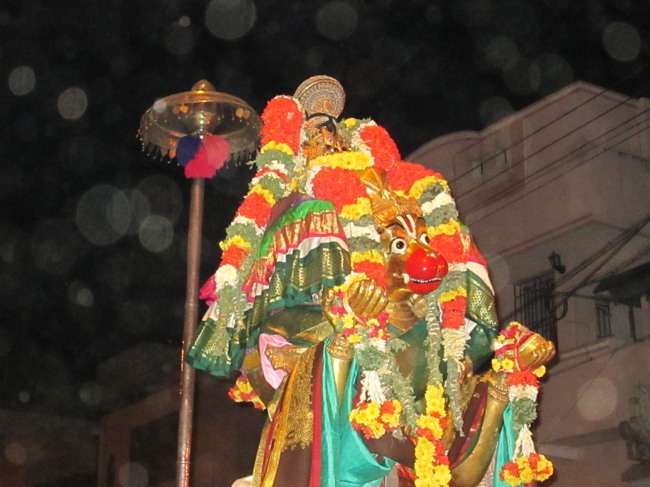 Srirangam Boopathi Thirunal Hanumantha vahanam 2014--0002