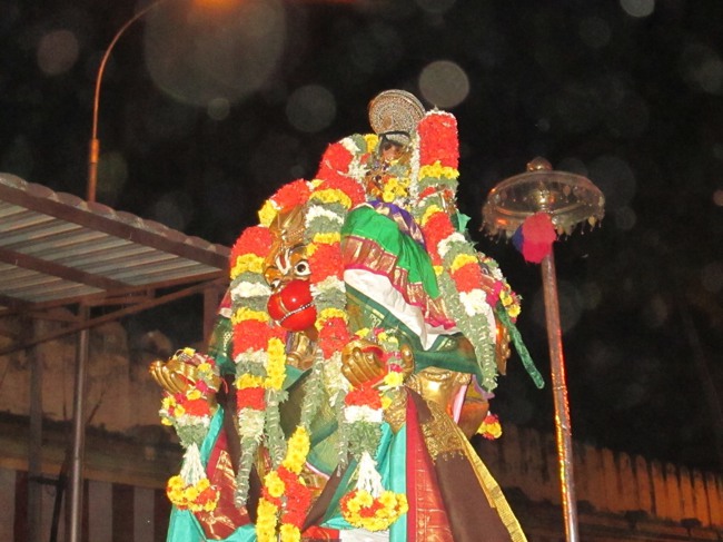 Srirangam Boopathi Thirunal Hanumantha vahanam 2014--0004