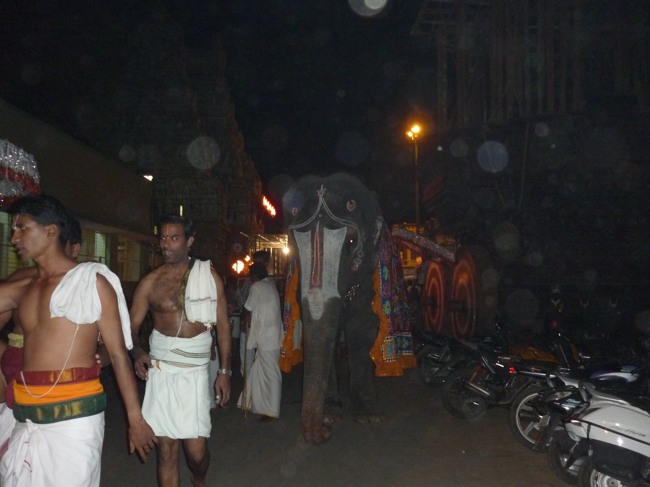 Srirangam Boopathi Thirunal Hanumantha vahanam 2014--05