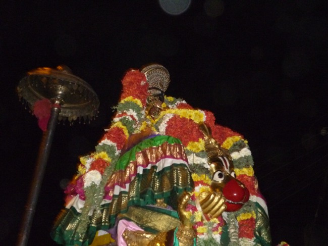Srirangam Boopathi Thirunal Hanumantha vahanam 2014--18
