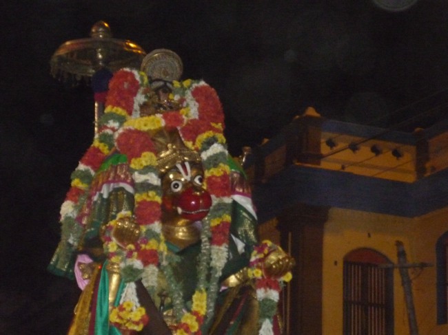 Srirangam Boopathi Thirunal Hanumantha vahanam 2014--33