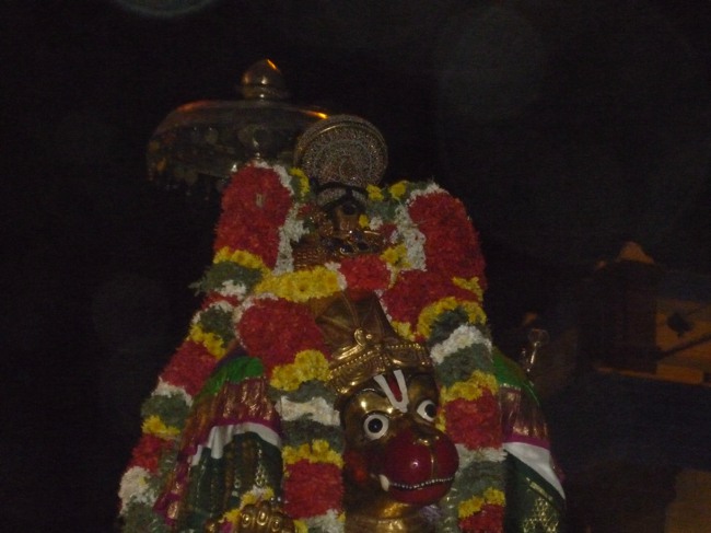 Srirangam Boopathi Thirunal Hanumantha vahanam 2014--34