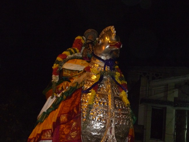 Srirangam Namperumal Boopathi Thirunal Hamsa Vahanam  2014--09