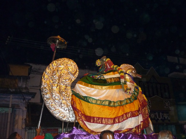Srirangam Namperumal Boopathi Thirunal Hamsa Vahanam  2014--13
