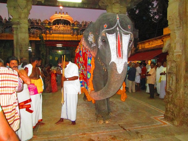 Srirangam Namperumal Boopathi Thirunal Kudhirai vahanam 2014 -08