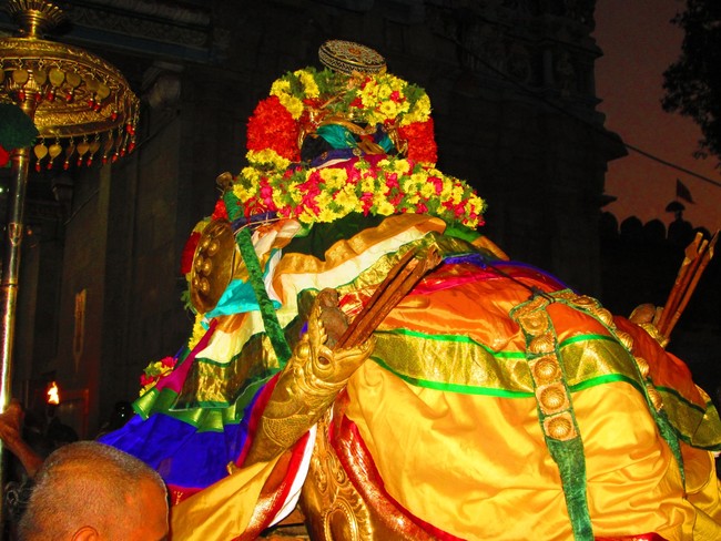 Srirangam Namperumal Boopathi Thirunal Kudhirai vahanam 2014 -11