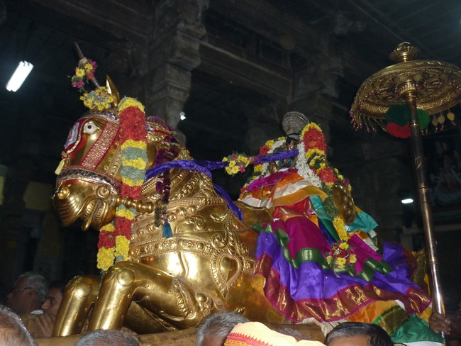 Srirangam Namperumal Boopathi Thirunal Kudhirai vahanam 2014 -29