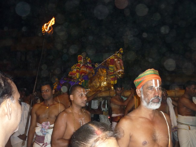 Srirangam Namperumal Boopathi Thirunal Kudhirai vahanam 2014 -34