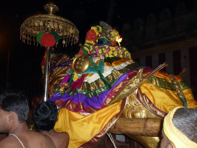 Srirangam Namperumal Boopathi Thirunal Kudhirai vahanam 2014 -39