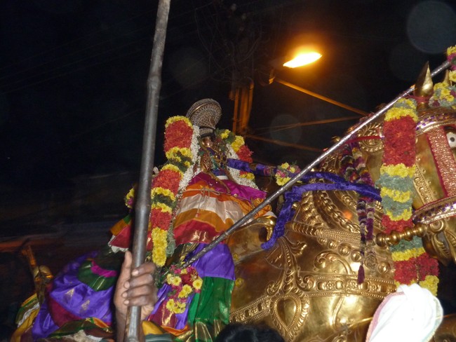 Srirangam Namperumal Boopathi Thirunal Kudhirai vahanam 2014 -41