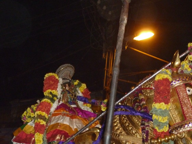 Srirangam Namperumal Boopathi Thirunal Kudhirai vahanam 2014 -42