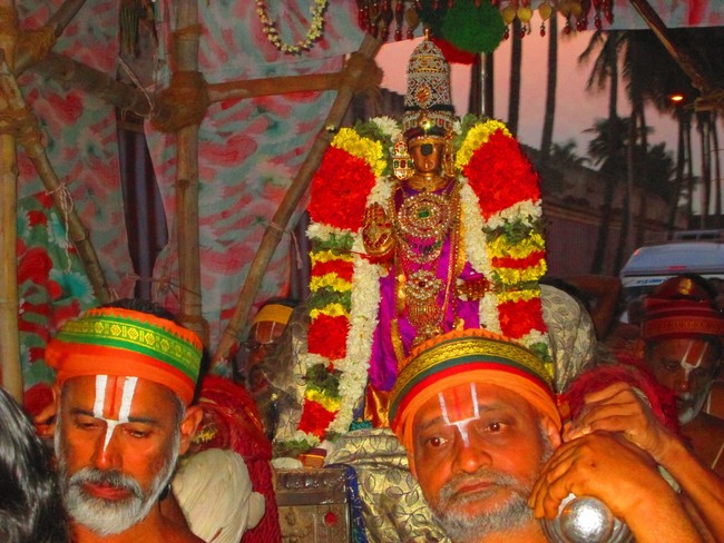 Srirangam Namperumal Boopathi Thirunal Sapthavarnam 2014 -09