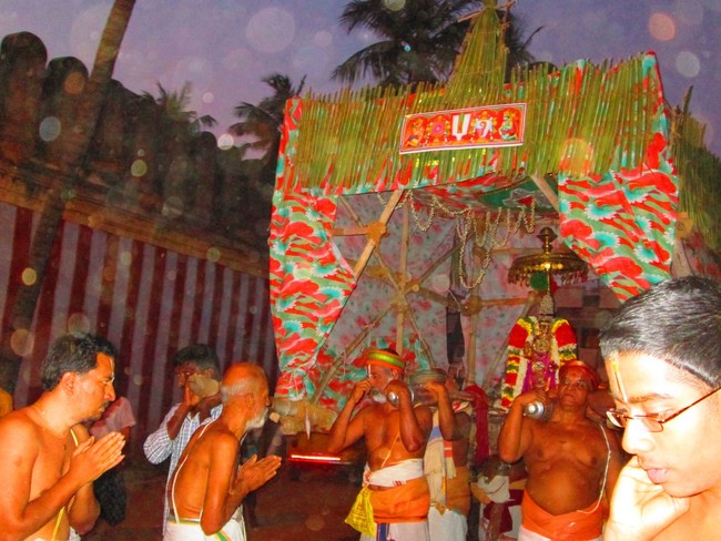 Srirangam Namperumal Boopathi Thirunal Sapthavarnam 2014 -10