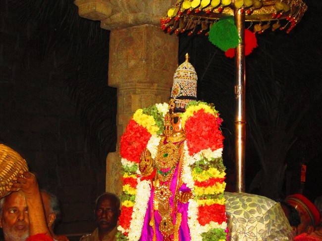 Srirangam Namperumal Boopathi Thirunal Sapthavarnam 2014 -22