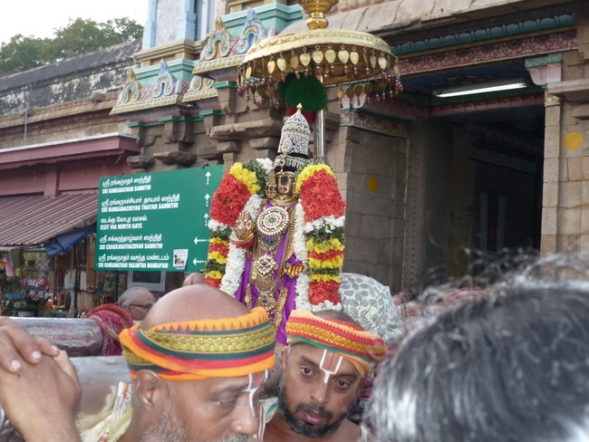 Srirangam Namperumal Boopathi Thirunal Sapthavarnam 2014 -37