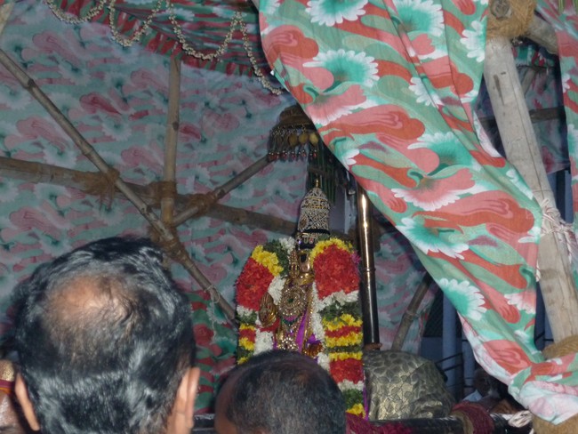 Srirangam Namperumal Boopathi Thirunal Sapthavarnam 2014 -46