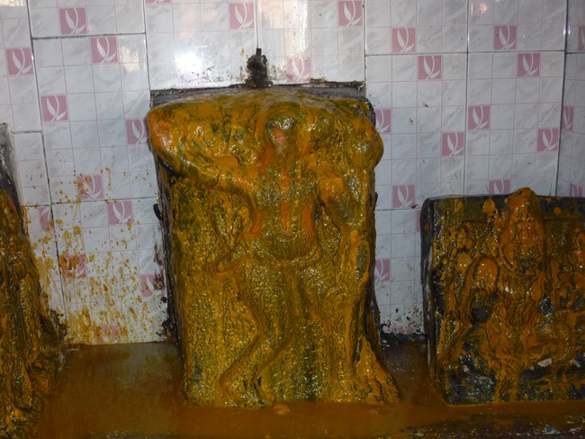 Srirangam Uthra veedhi Perumal Thiruvadi  2014 -03