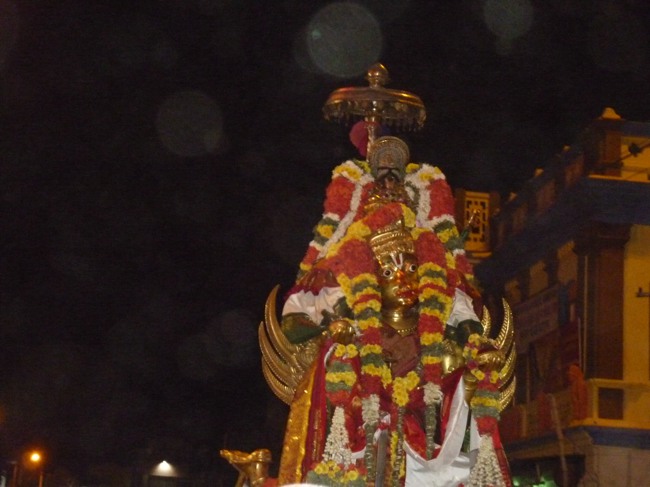 Srirangam bhoopathi thirunal Garuda Vahanam 2014--10