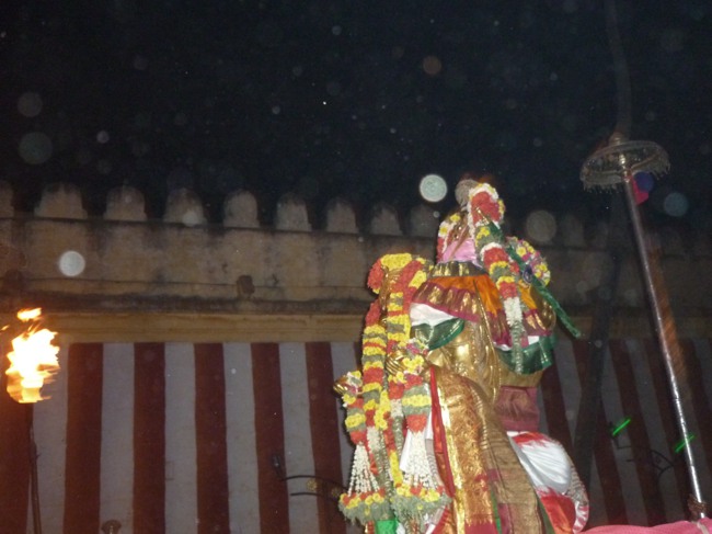 Srirangam bhoopathi thirunal Garuda Vahanam 2014--26