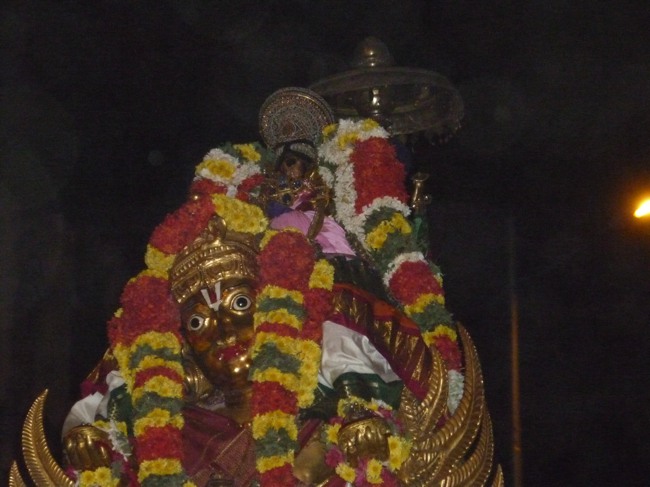Srirangam bhoopathi thirunal Garuda Vahanam 2014--27