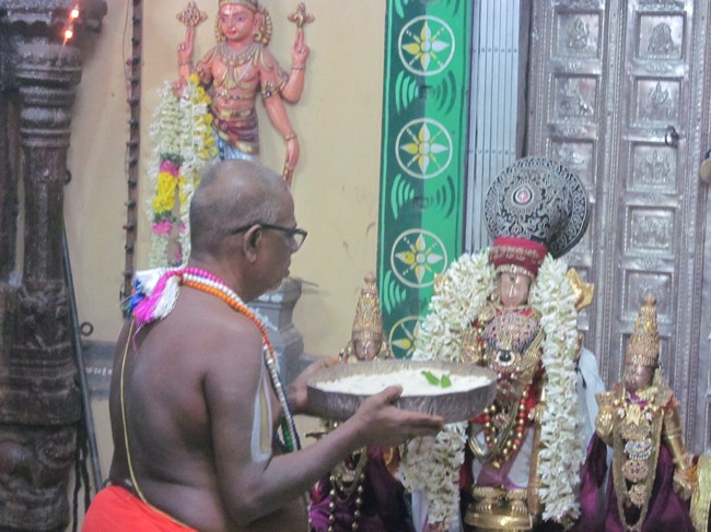 THiruvallur Thai Brahmotsavam Yanai Vahanam 2014--10