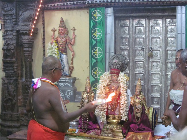 THiruvallur Thai Brahmotsavam Yanai Vahanam 2014--11