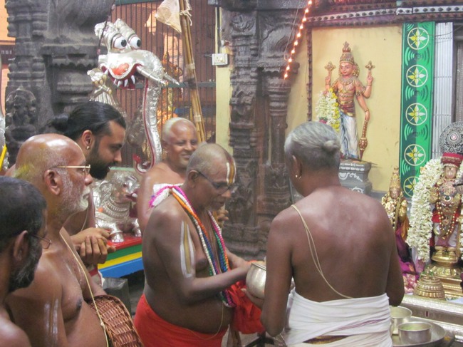 THiruvallur Thai Brahmotsavam Yanai Vahanam 2014--13