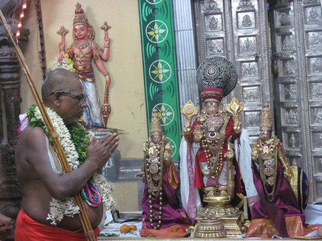 THiruvallur Thai Brahmotsavam Yanai Vahanam 2014--20