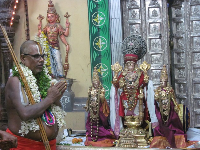 THiruvallur Thai Brahmotsavam Yanai Vahanam 2014--21