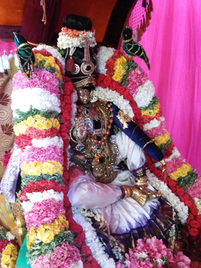 Taramani Prasanna Venkatesa Perumal Brahotsavam day 5  2014 -1