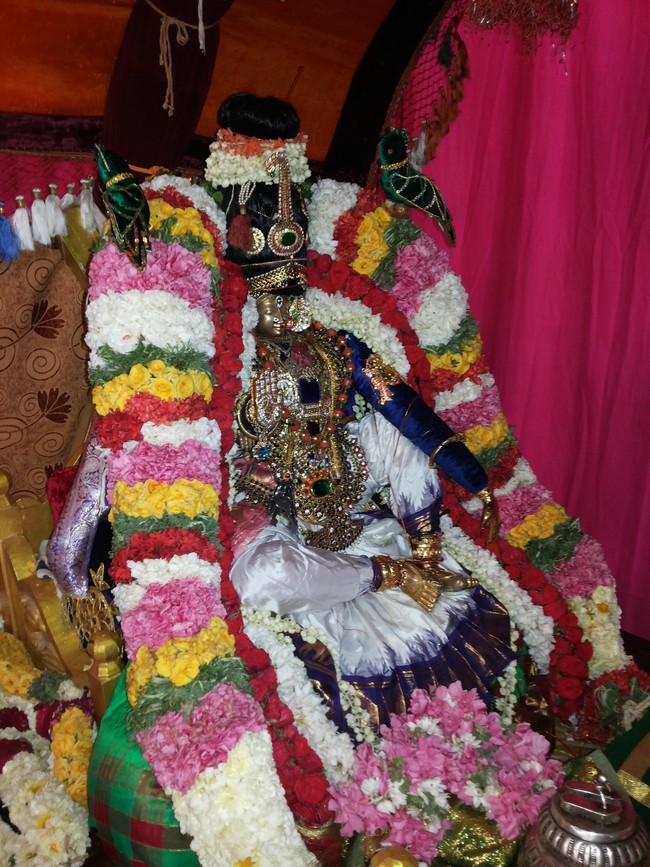 Taramani Prasanna Venkatesa Perumal Brahotsavam day 5  2014 -2