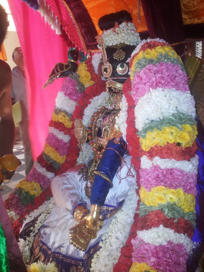 Taramani Prasanna Venkatesa Perumal Brahotsavam day 5  2014 -6