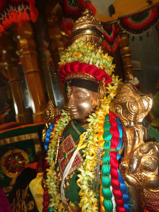 Taramani-Prasanna-venkatesa-Perumal-pavithrotsavam-day-3-2013-20