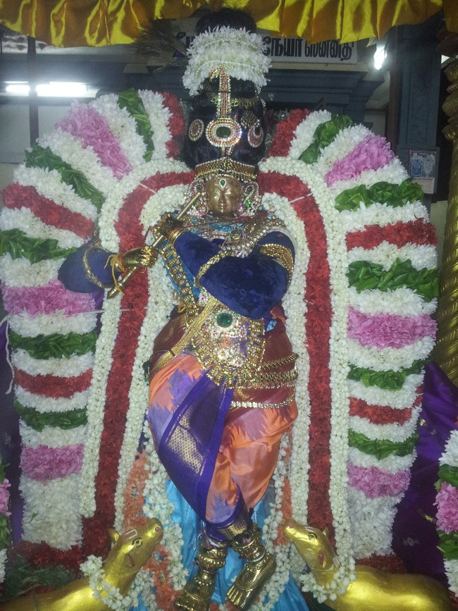 Taramani Sri Prasanna venkatesa perumal Brahmotsavam day1 2014 -6
