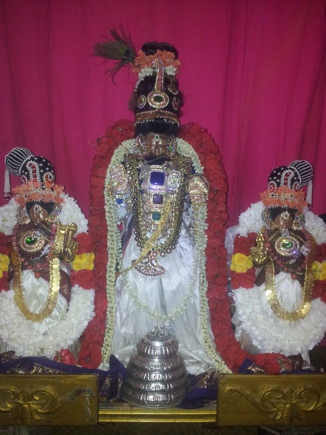 Taramani Sriinivasa perumal Brahmotsavam Chandra Prabhai 2014 -01