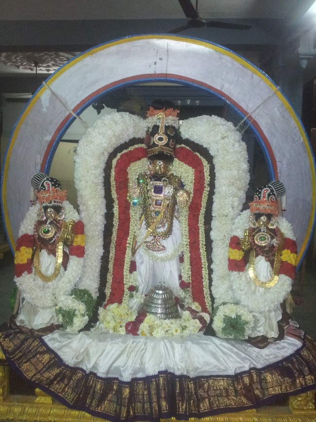 Taramani Sriinivasa perumal Brahmotsavam Chandra Prabhai 2014 -07
