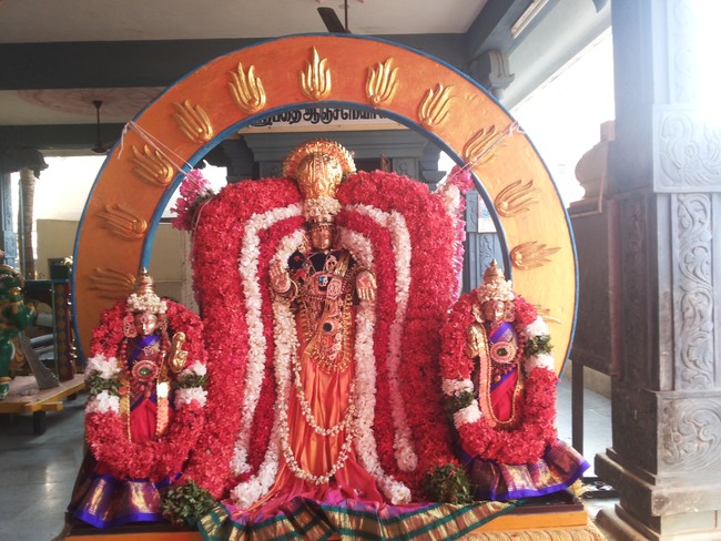 Taramani Sriinivasa perumal Brahmotsavam Surya Prabhai 2014 -1