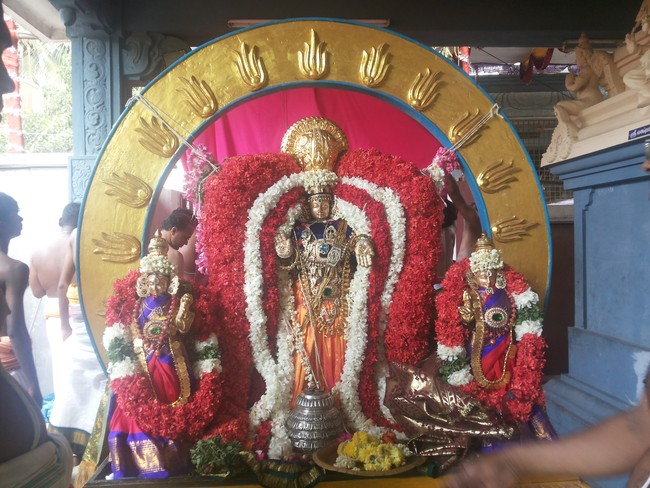 Taramani Sriinivasa perumal Brahmotsavam Surya Prabhai 2014 -5
