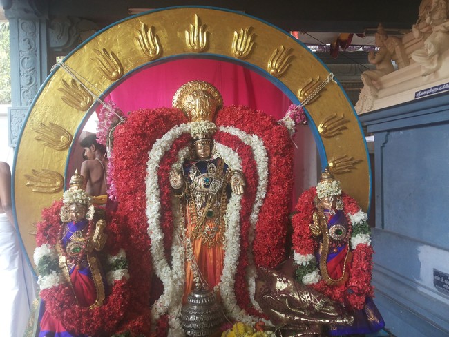 Taramani Sriinivasa perumal Brahmotsavam Surya Prabhai 2014 -6