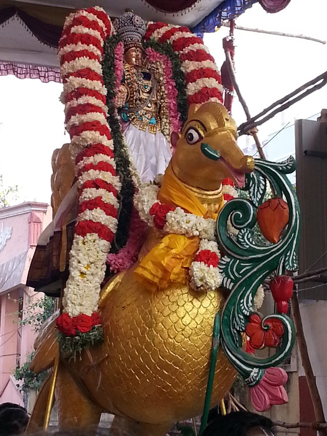 Taramani Srinivasa Perumal Temple Hamsa Vahanam 2014--00