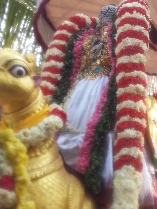 Taramani Srinivasa Perumal Temple Hamsa Vahanam 2014--02
