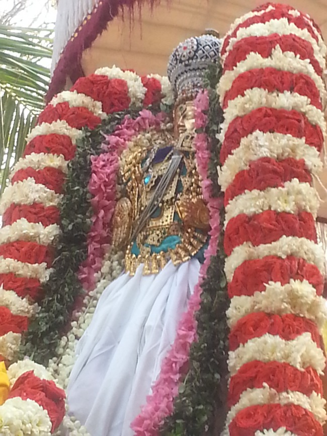 Taramani Srinivasa Perumal Temple Hamsa Vahanam 2014--04