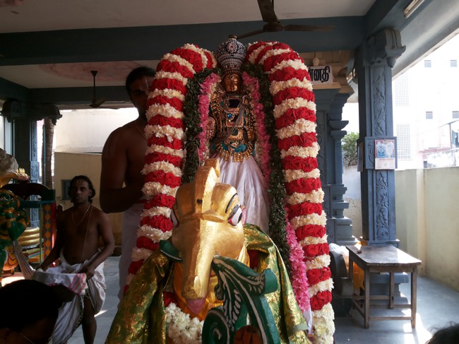 Taramani Srinivasa Perumal Temple Hamsa Vahanam 2014--07
