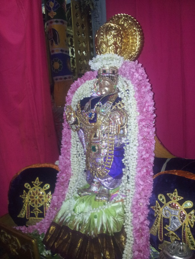 Taramani Srinivasa Perumal Temple Hanumantha Vahanam 2014--0002