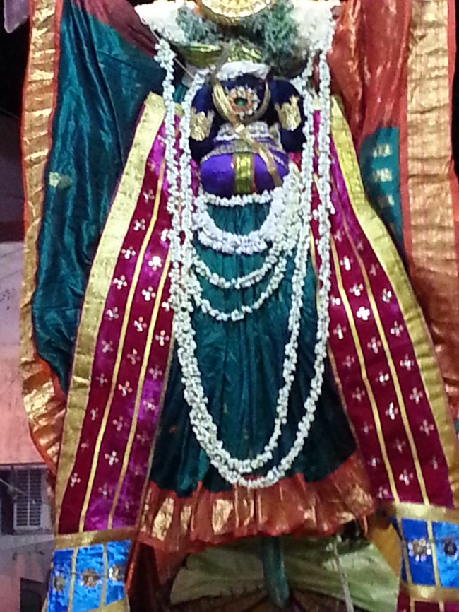 Taramani Srinivasa Perumal Temple Hanumantha Vahanam 2014--0006